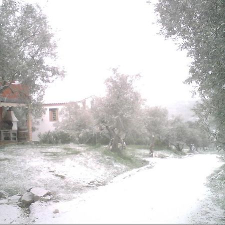 Las Casas De "El Cerrillo" Montesclaros Εξωτερικό φωτογραφία
