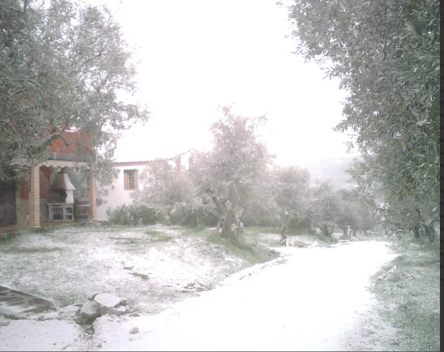 Las Casas De "El Cerrillo" Montesclaros Εξωτερικό φωτογραφία